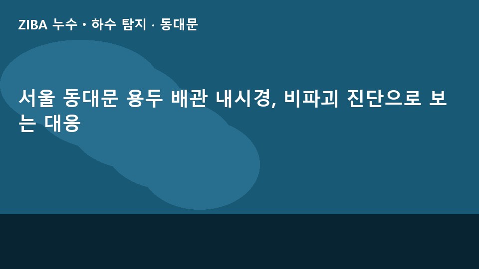 서울 동대문 용두 배관 내시경, 비파괴 진단으로 보는 대응