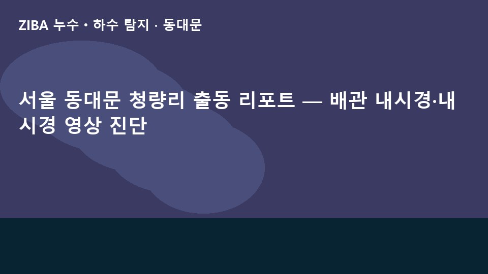 서울 동대문 청량리 출동 리포트 — 배관 내시경·내시경 영상 진단