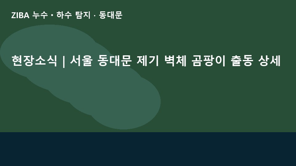 현장소식 | 서울 동대문 제기 벽체 곰팡이 출동 상세