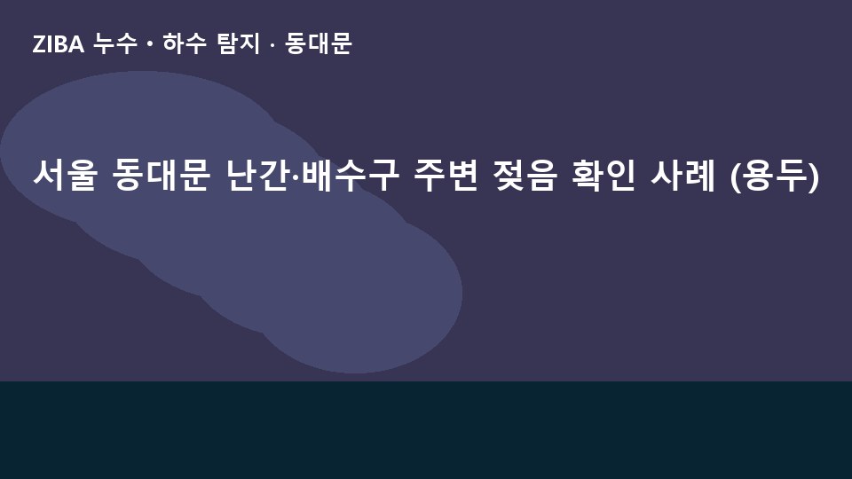 서울 동대문 난간·배수구 주변 젖음 확인 사례 (용두)